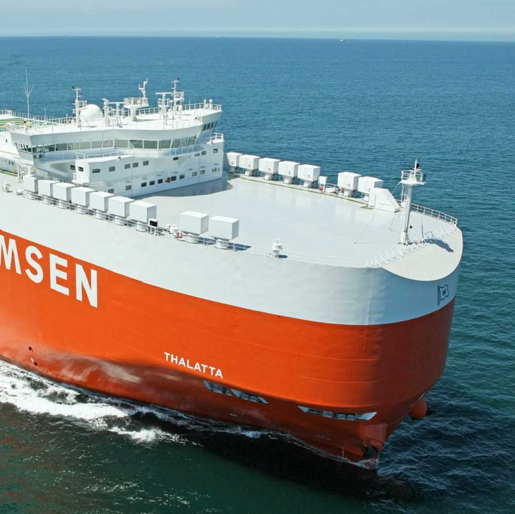 hero_thalatta2_1017x1017-compressed50